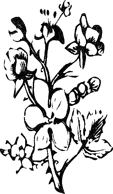 img25.png