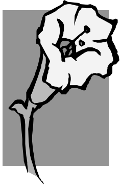 img10.png