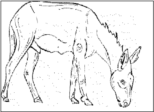 img8.png