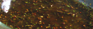 img12.png