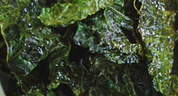 img17.png