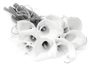 img5.png