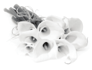 img6.png
