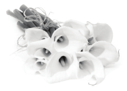 img7.png