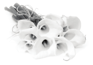 img8.png
