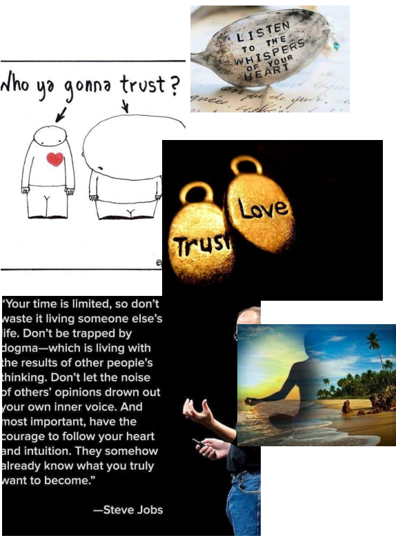 img6.png