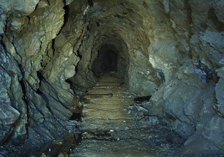 img6.jpg