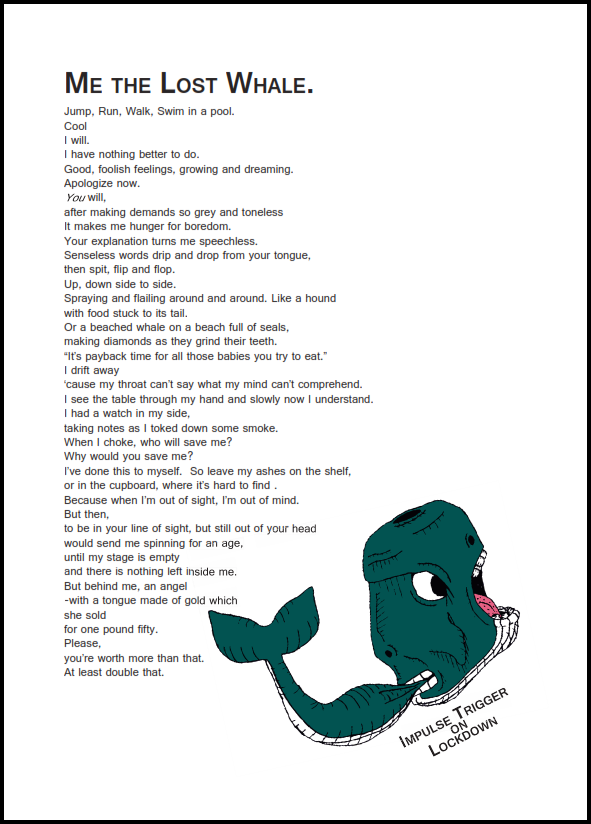 img13.png