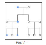 img5.png