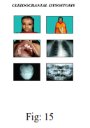 img75.png