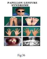 img78.png