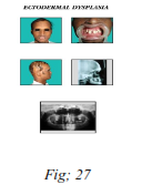 img81.png