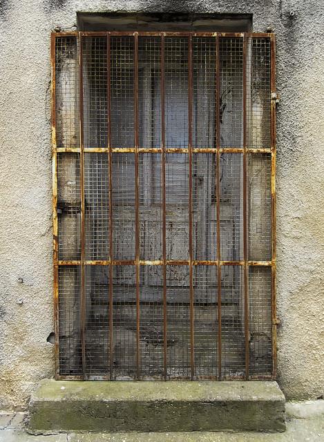 img6.jpg