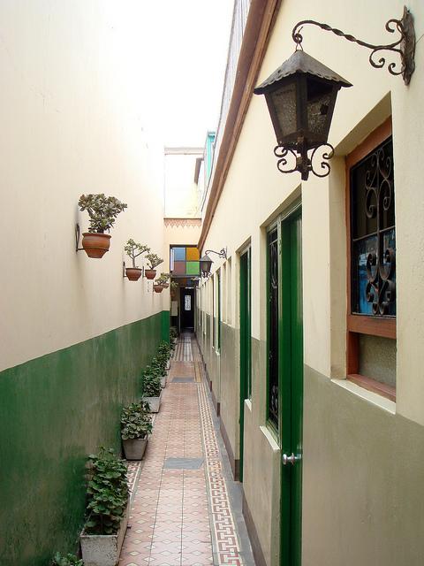 img9.jpg