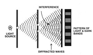 img1.jpg
