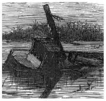 img39.jpg