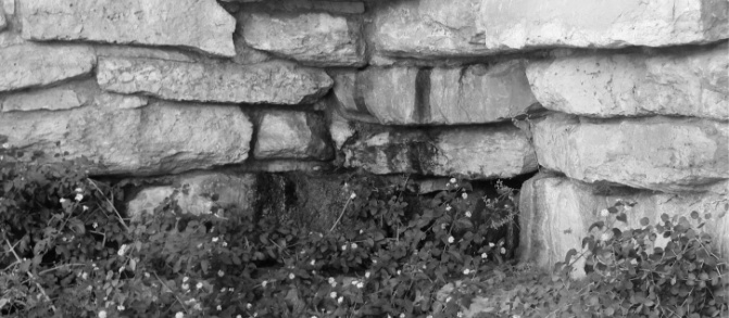 img10.jpg