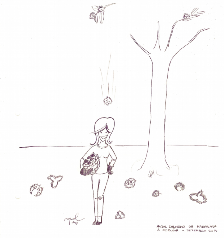 img27.png