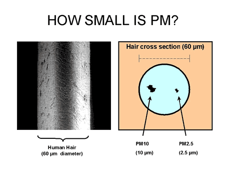 img59.png