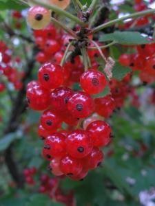 img11.jpg