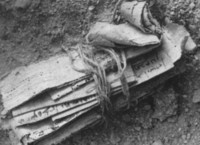 Image 14