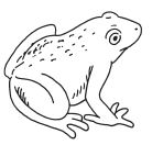 img1.jpg