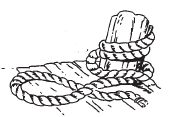 img57.jpg