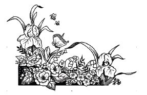 img7.jpg