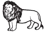 img73.jpg