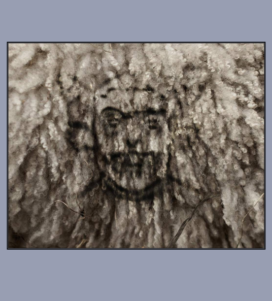 img5.png