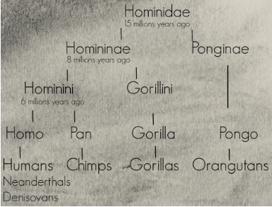 img2.png
