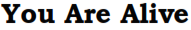 img25.png