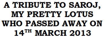 img7.png