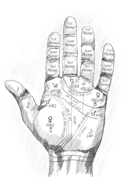 img14.jpg