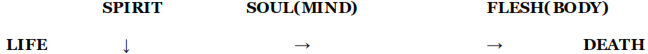 img4.png