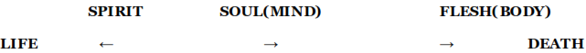 img5.png