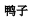 img176.png