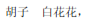 img37.png