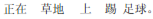 img394.png