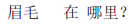 img53.png