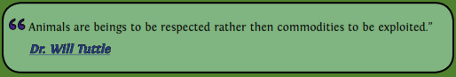 img122.png