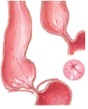 img5.png