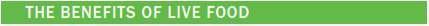 img57.png