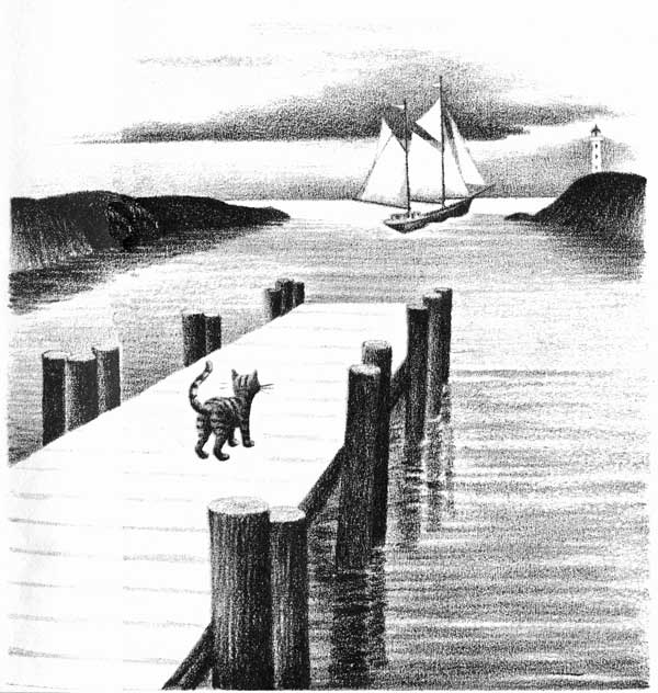 img10.jpg