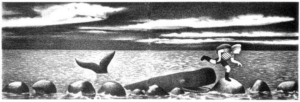 img13.jpg