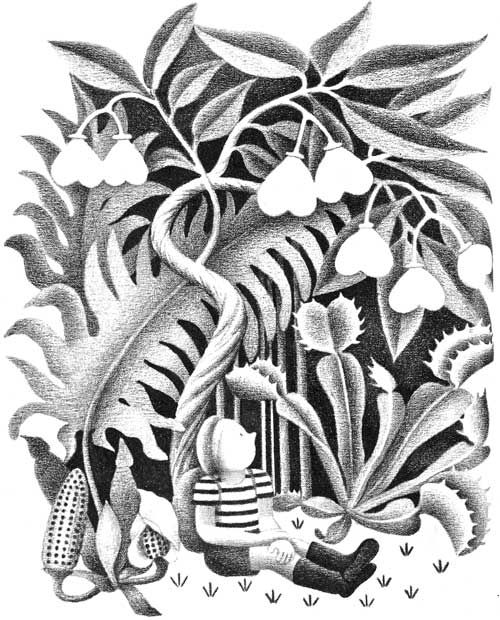 img14.jpg