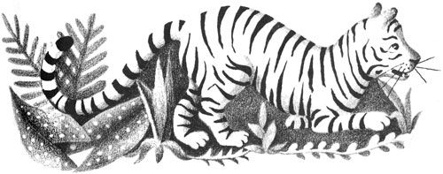 img19.jpg