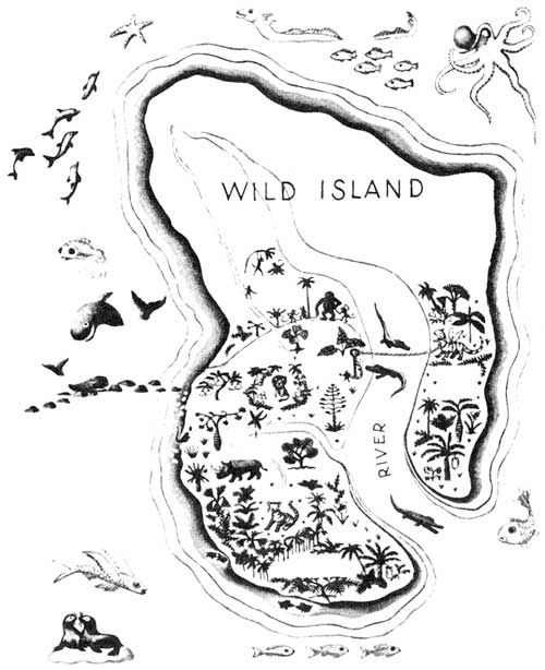 img7.jpg
