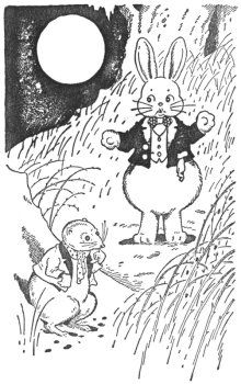 img15.jpg