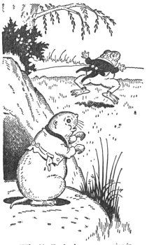 img21.jpg